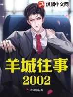 《羊城往事2002》